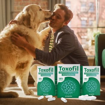 Toxofil